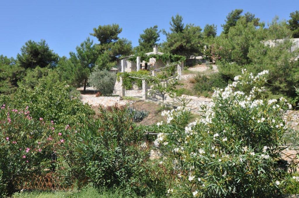 Arsinoi Stonehouses Limenaria  Dış mekan fotoğraf